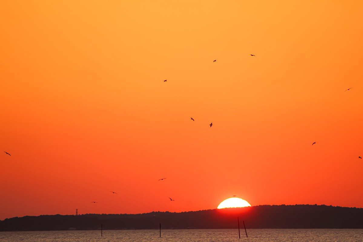 docisa — no #fakemed— tweet media