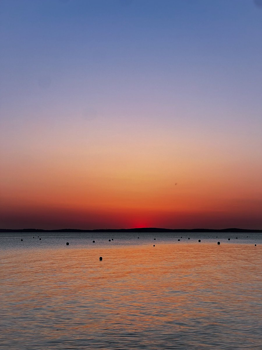 docisa — no #fakemed— tweet media