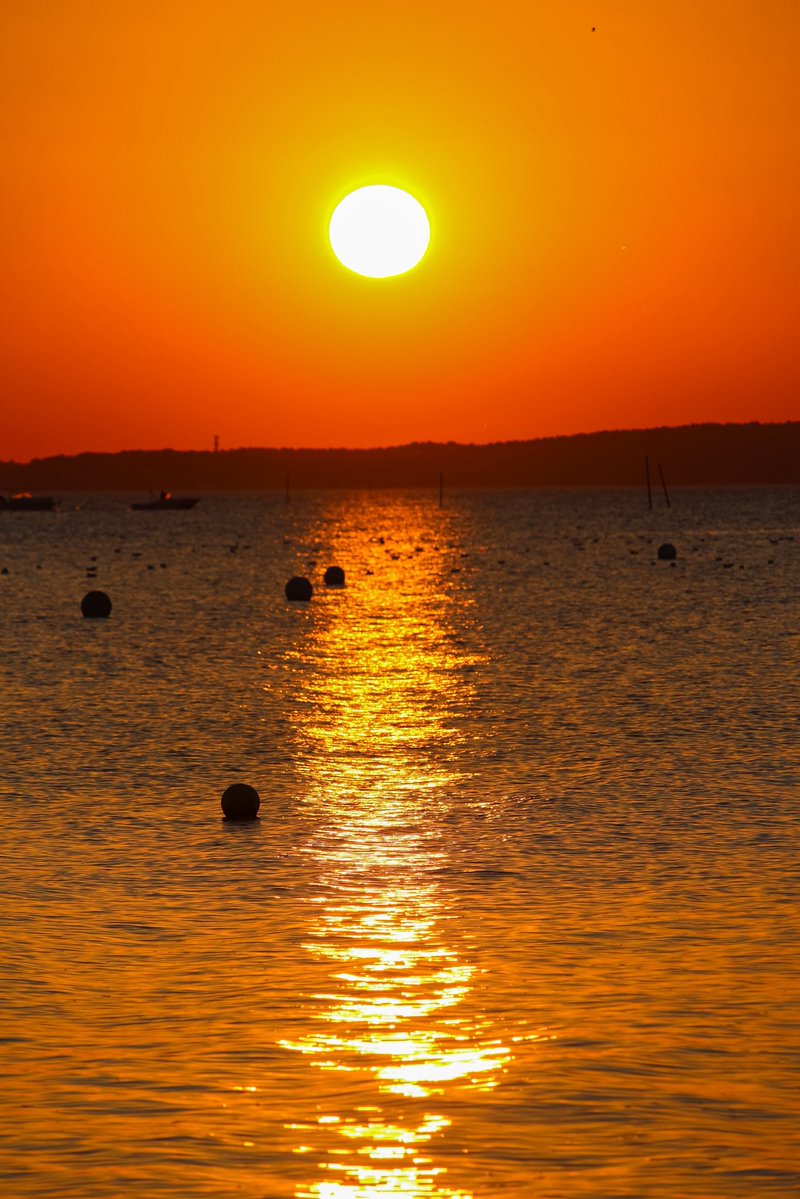 docisa — no #fakemed— tweet media