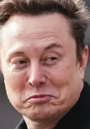 Rex⚡Volt tweet media