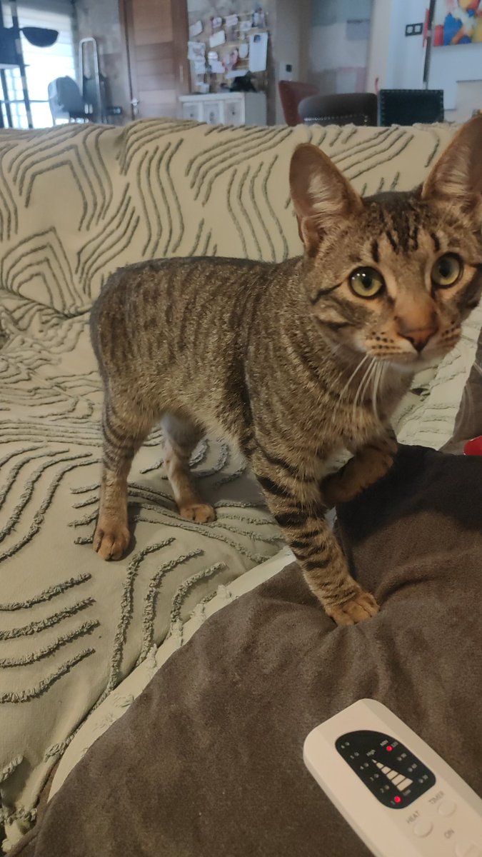 Carl Gallup tweet media