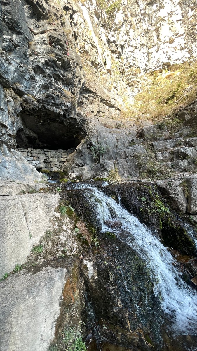 Janis Bush tweet media