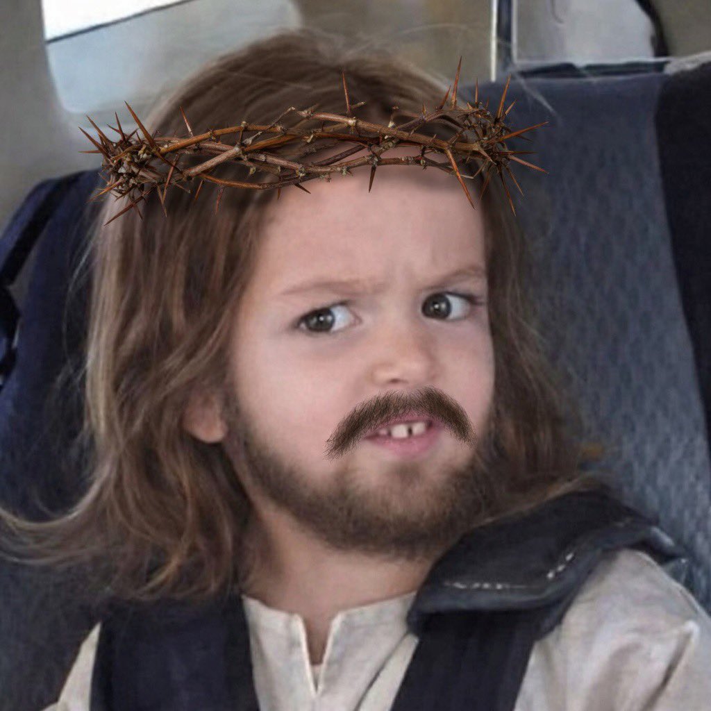 Selfie Monkey tweet media