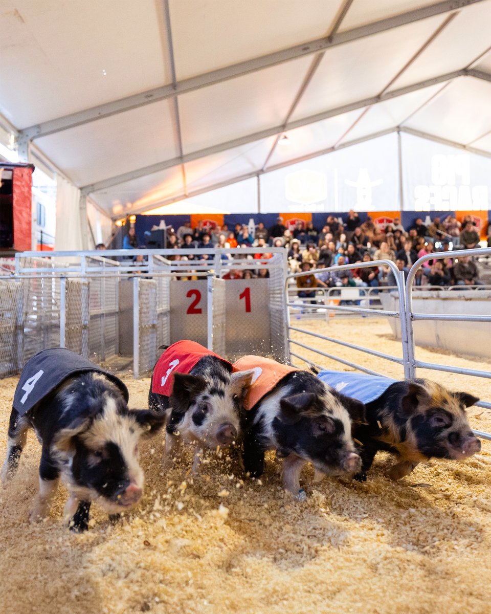 RODEOHOUSTON tweet media