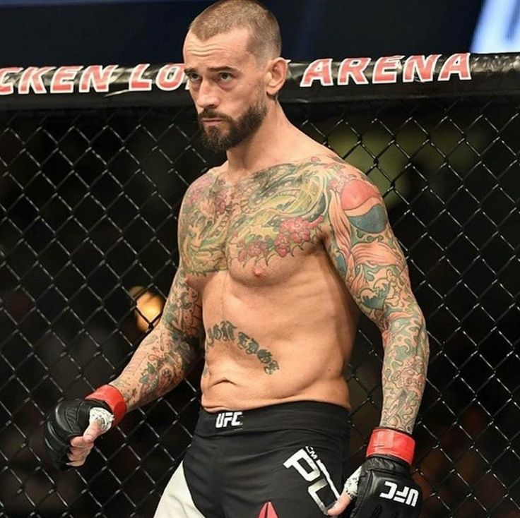 The Fight Fanatic tweet media