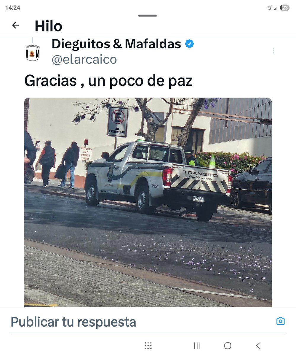 Dieguitos & Mafaldas tweet media