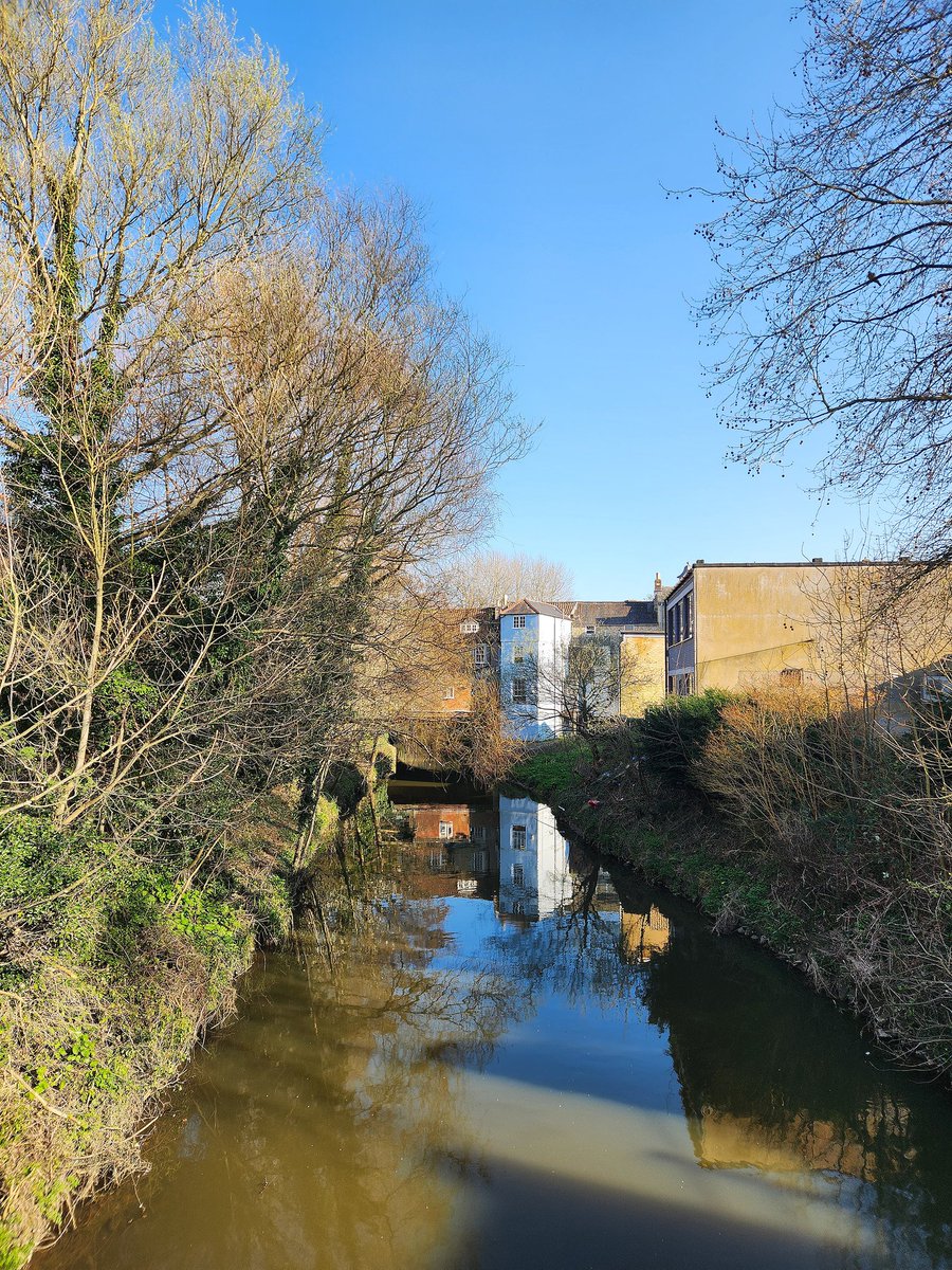 Jules 💚🖤 tweet media