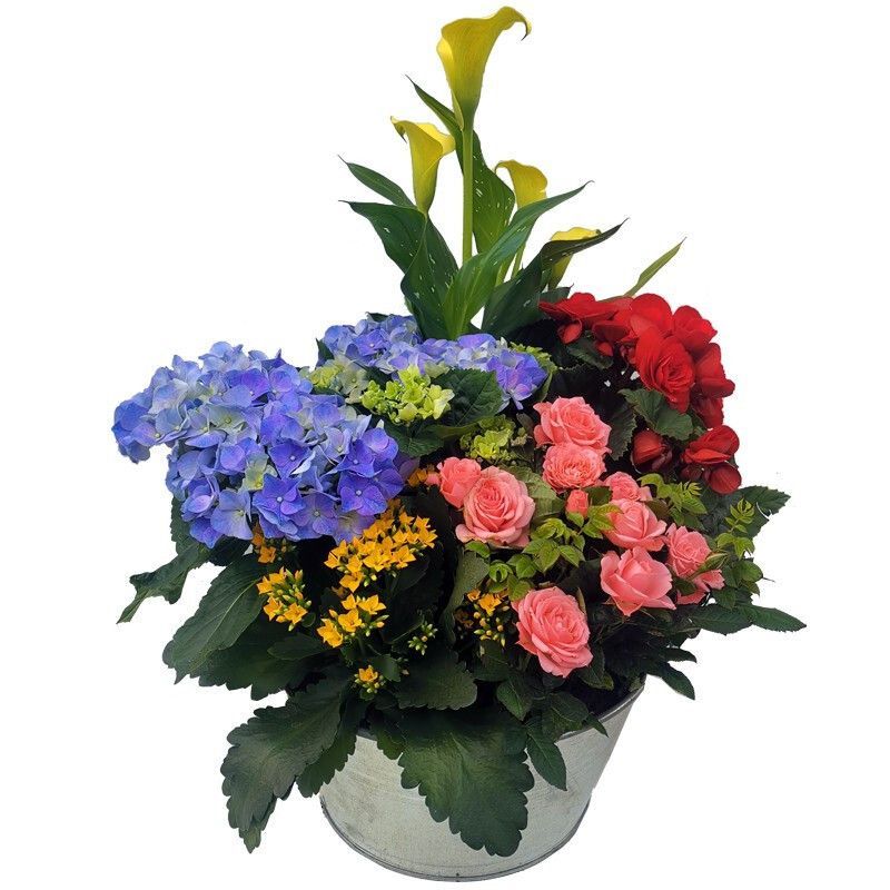 LasCameliasAF's tweet photo. 🌸 La primavera ya está aquí y las flores vuelven a ser protagonistas. En Las Camelias encontrarás ramos y centros con flores de temporada: tulipanes, margaritas, fresias o rosas en tonos suaves. Perfectas para regalar o decorar.

Te lo contamos aquí 👇
https://t.co/P8brYVSDic https://t.co/gi470tIyx8