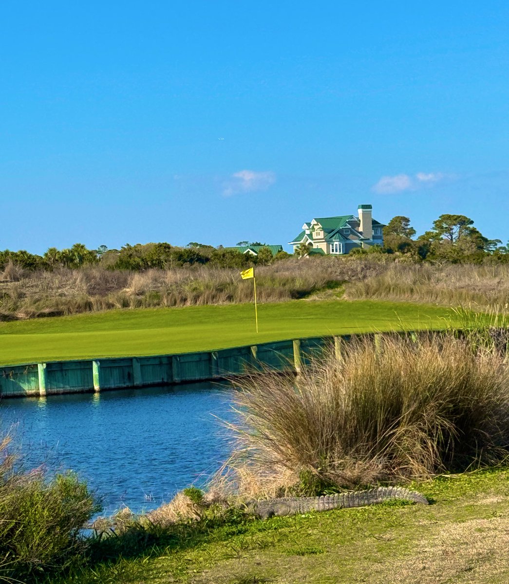 Dale Winslow, CFA tweet media