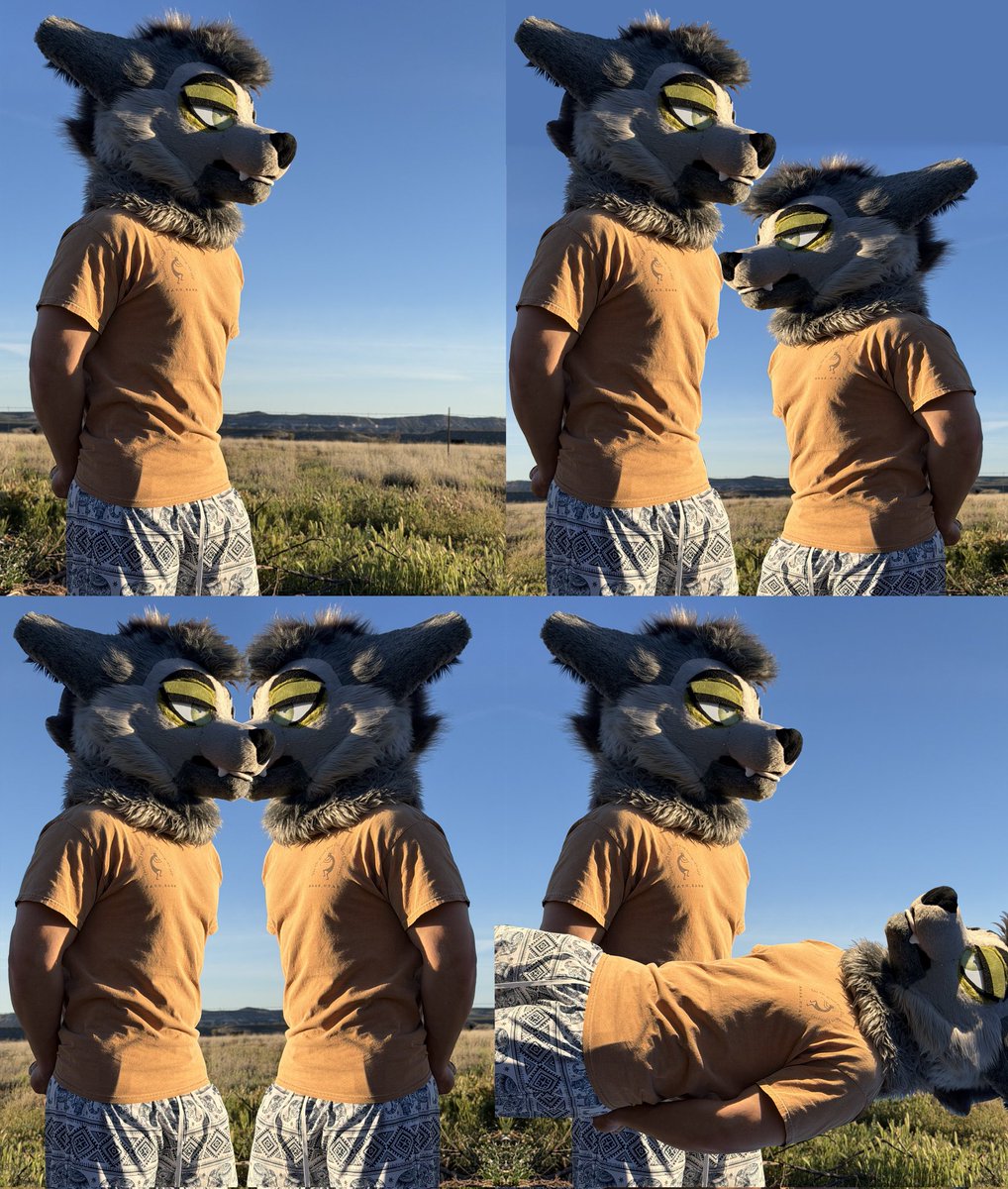 Tokens 🔜 LVFC tweet media