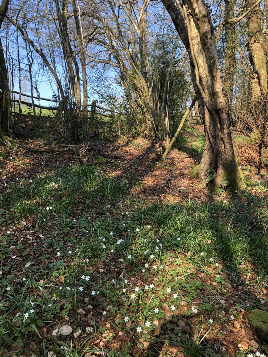 Margaret Gray tweet media