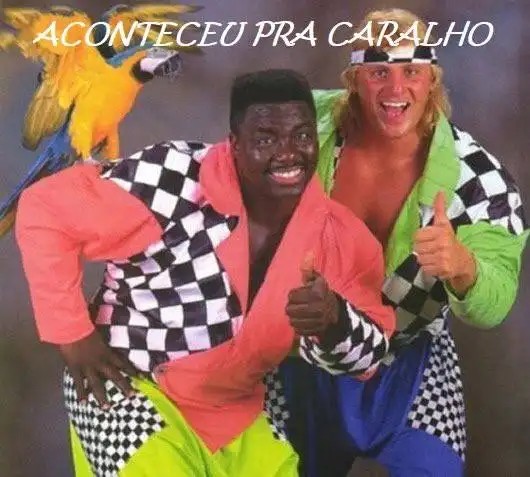 Cetaceo Libertario tweet media