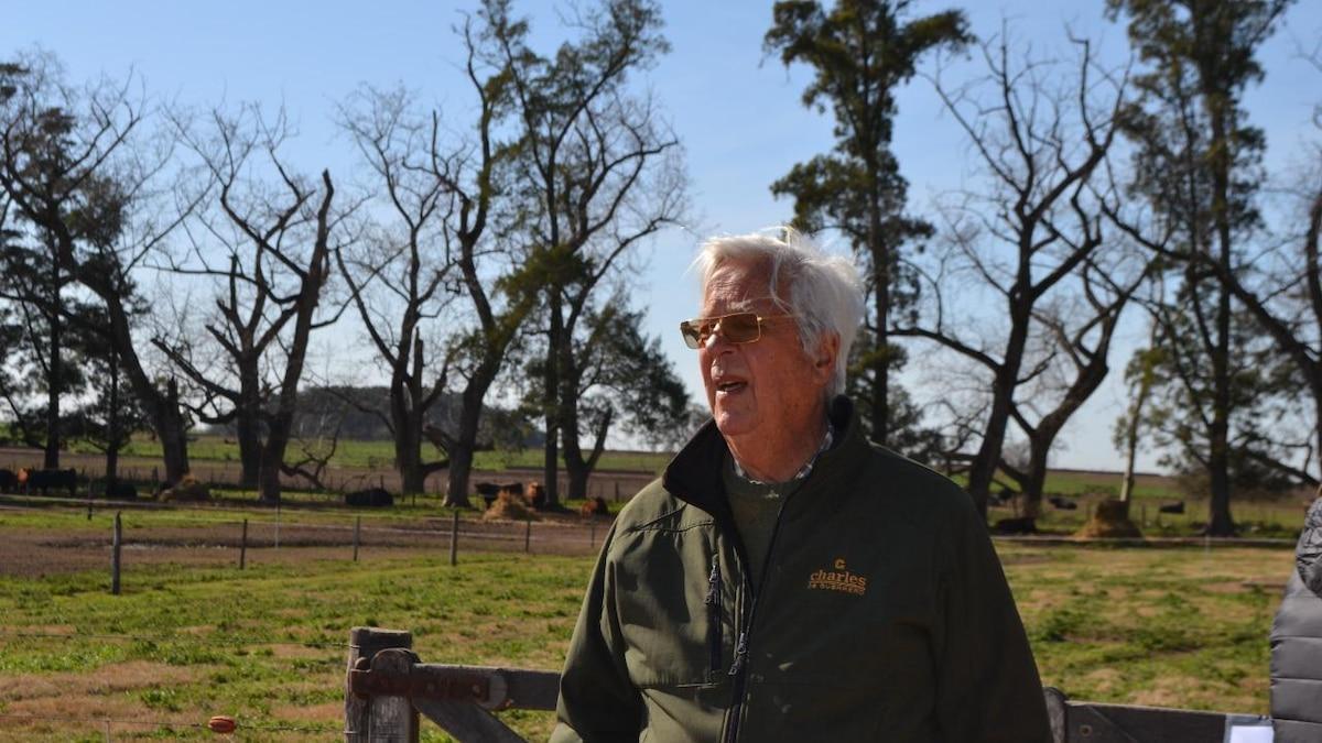 LA NACION tweet media