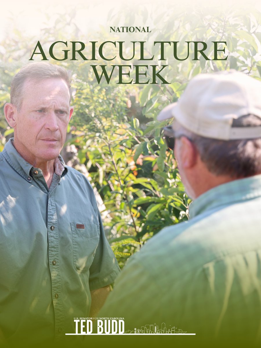 Senator Ted Budd tweet media