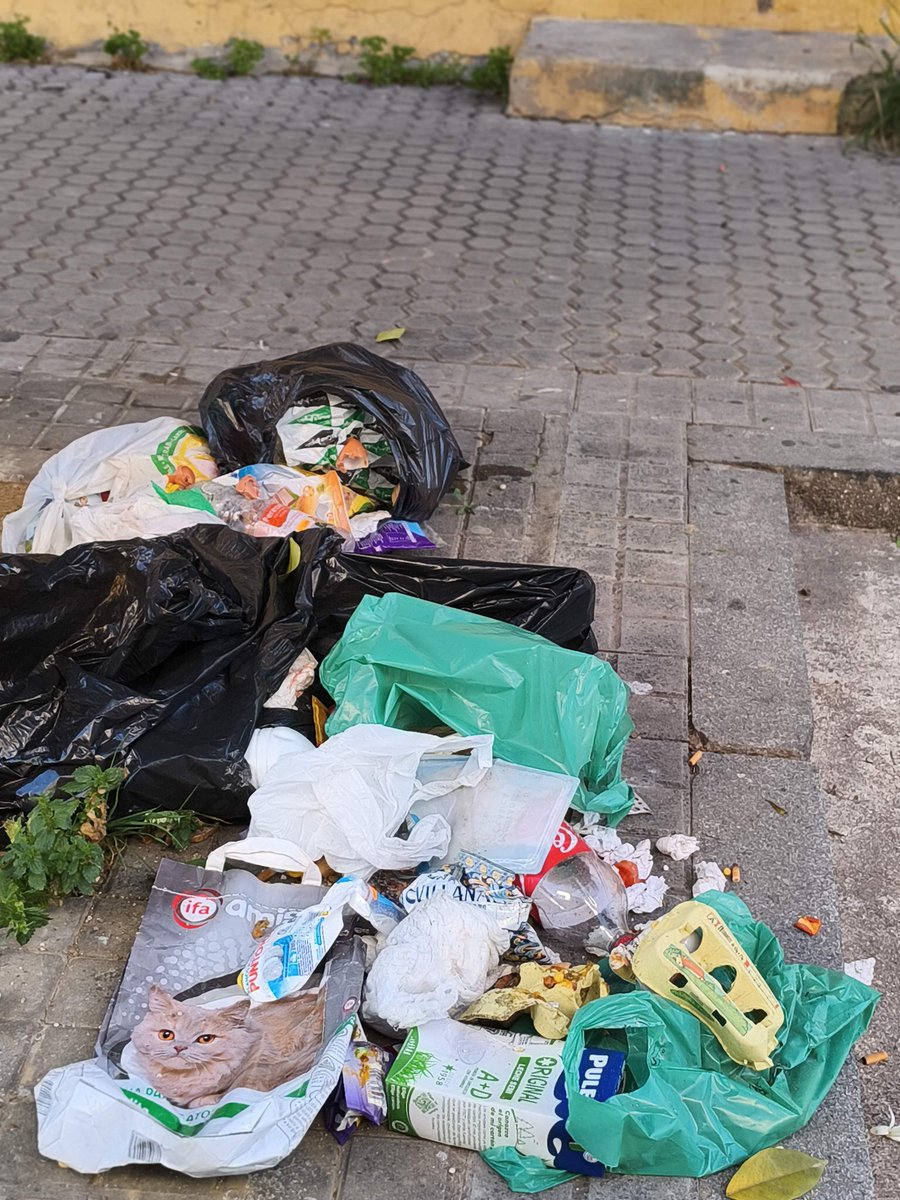 erjusticierodelsur (@jozeluisanz) tweet media