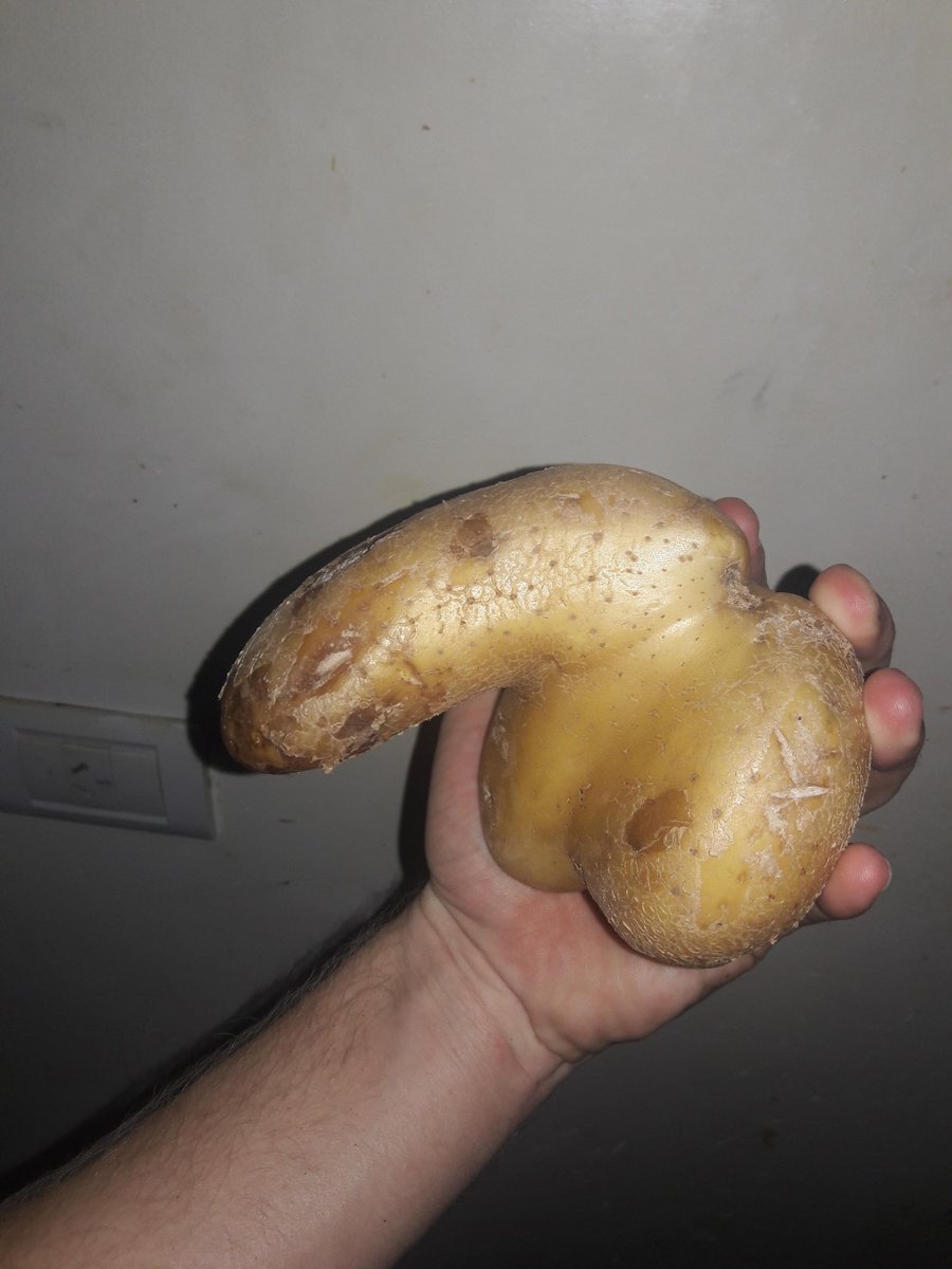 Bring Facts tweet media