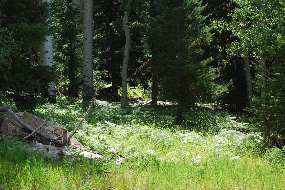 mark boozer tweet media