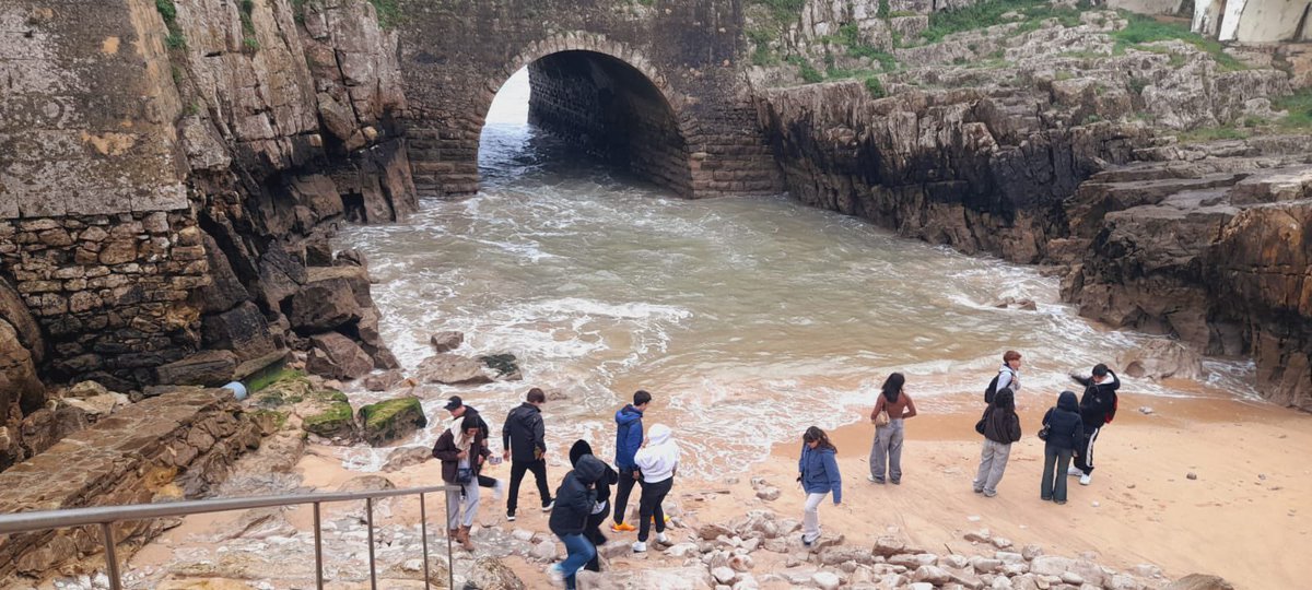 IES RiberadeCastilla tweet media