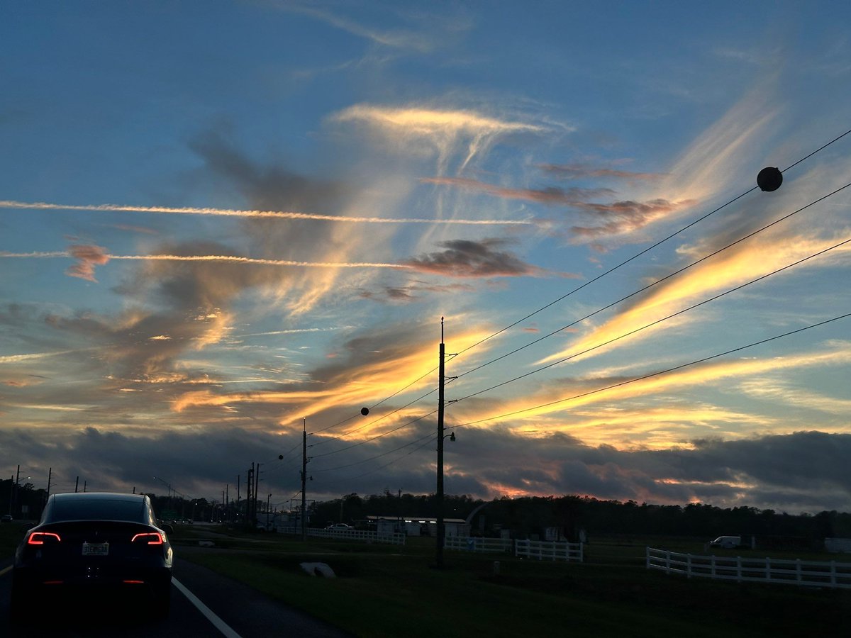 Nick Krasznavolgyi tweet media