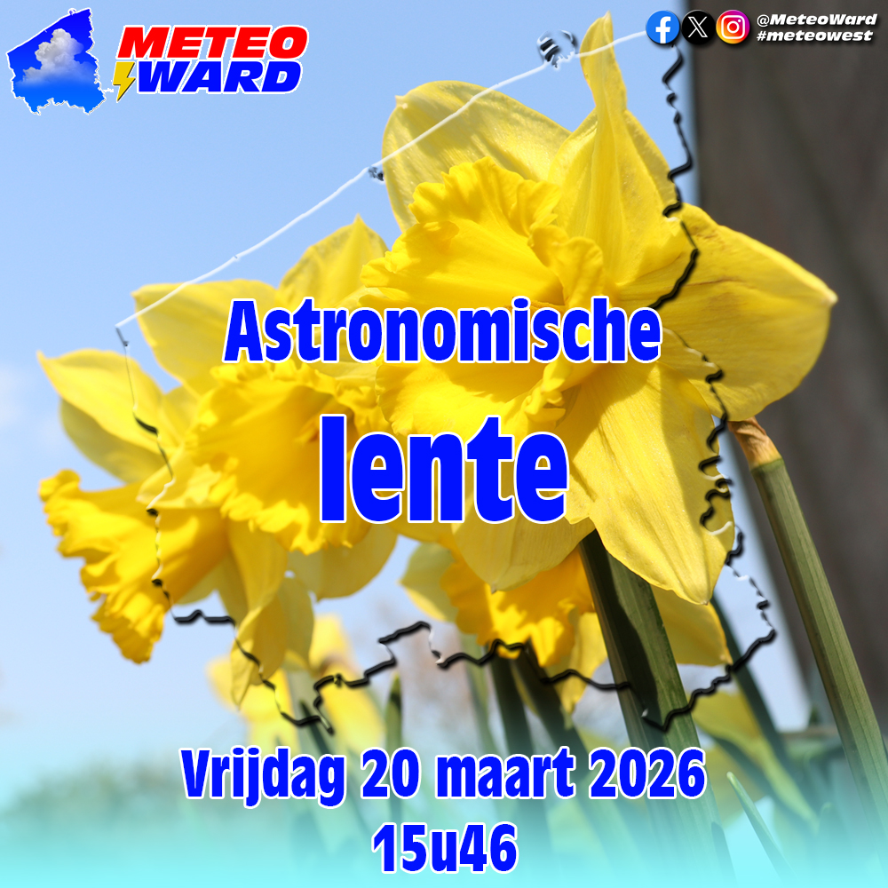 Ward Bruggeman ⚡️ tweet media