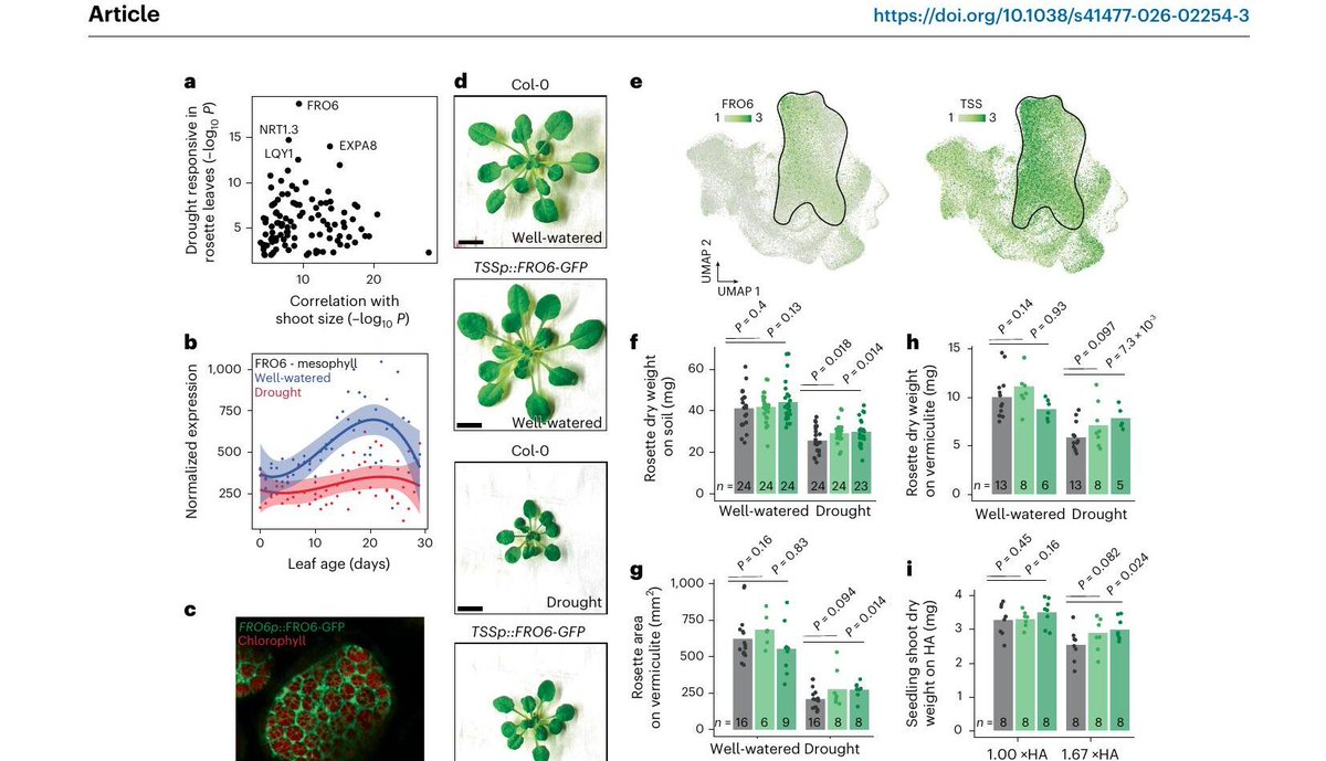 Joe Ecker tweet media