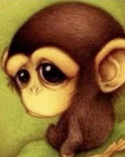 ➳ Vali ♱ tweet media