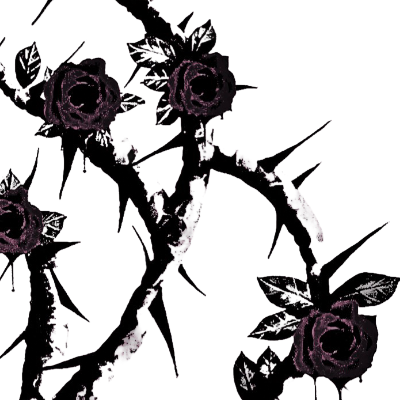 ‍ ‍ ‍ ‍come ‍pound ‍this ‍puppy ‍. tweet media