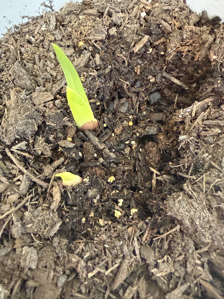 Heather Larson tweet media