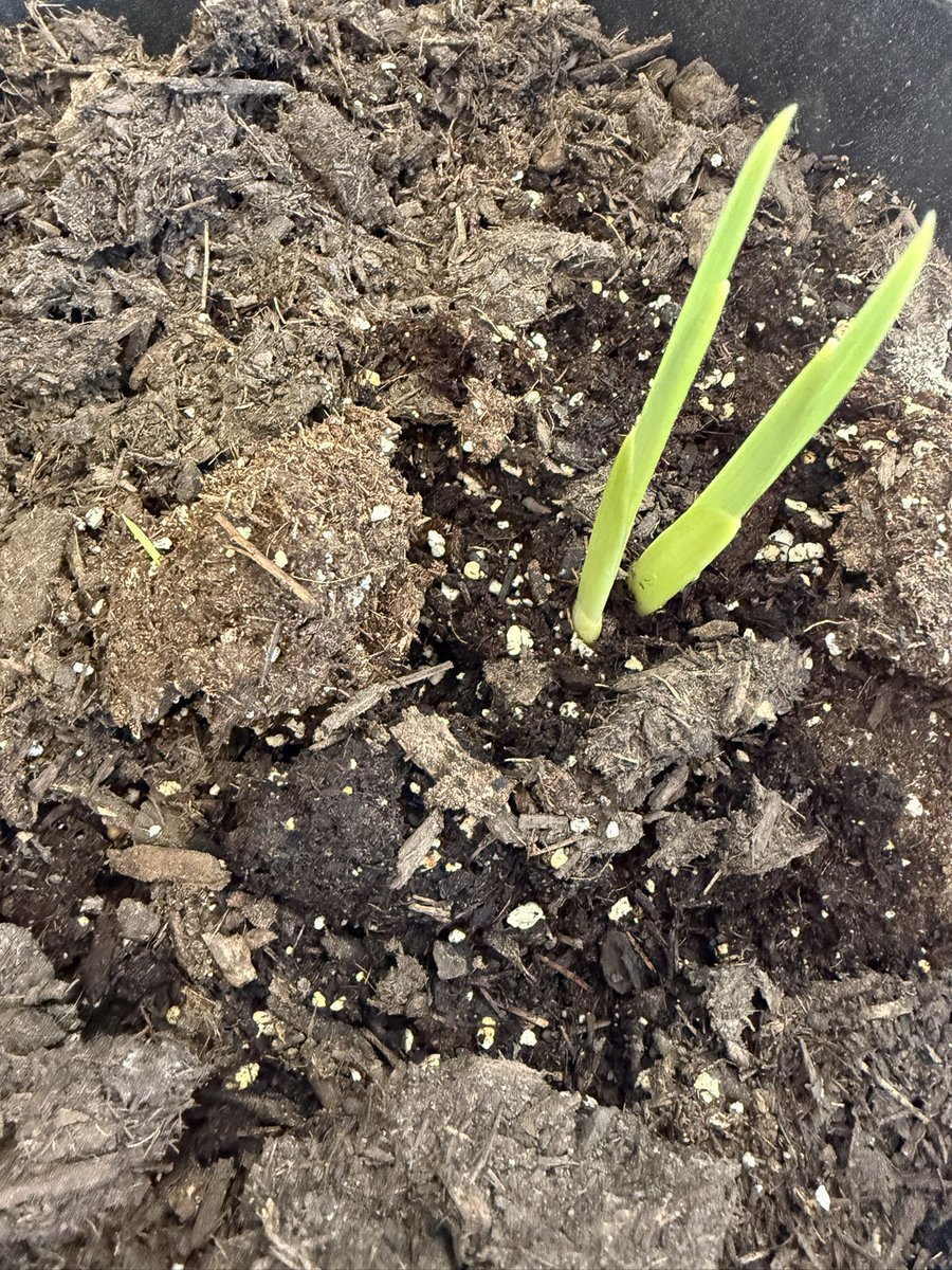 Heather Larson tweet media