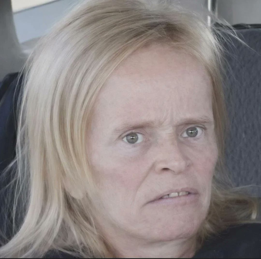 Dave Ryder 🌊💙🌎❄🏳️‍🌈 tweet media