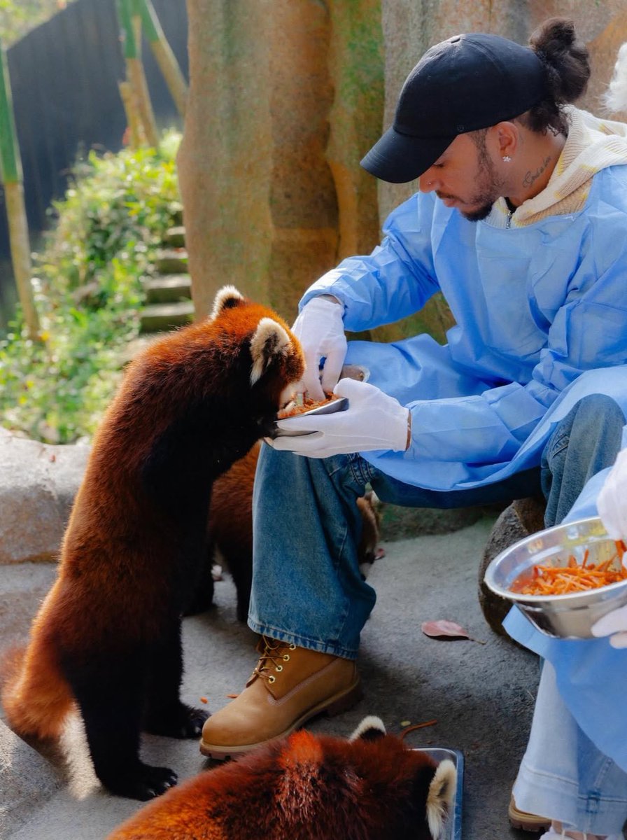 kati カティ⁴⁴ 🏎💨 tweet media