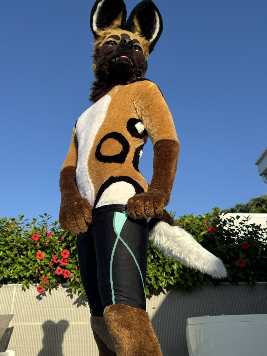 シェルビー*Shelby* tweet media