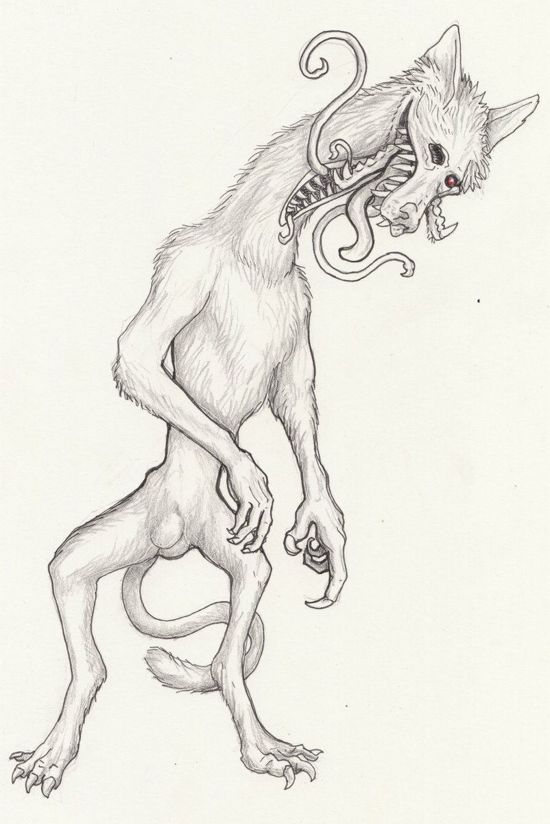 Wolfsinn tweet media