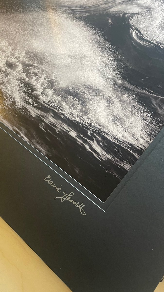 Elaine Farrell Photography tweet media