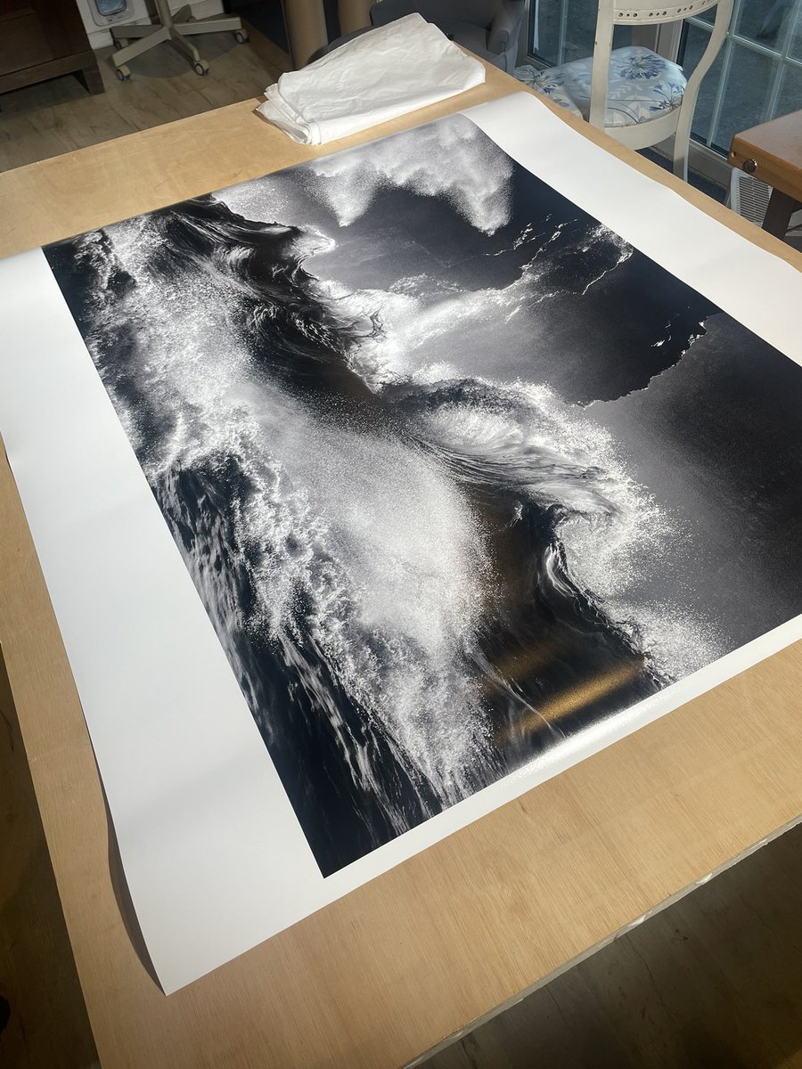 Elaine Farrell Photography tweet media