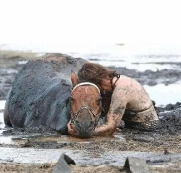 Best in Dogs tweet media