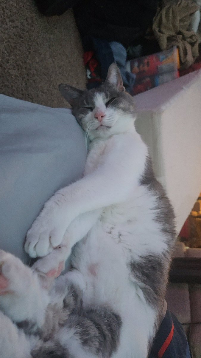 Prompto22 tweet media