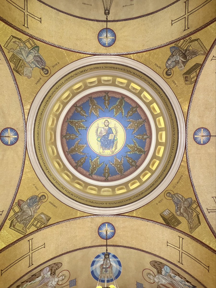 Ortho-Nerd (Theodore) tweet media