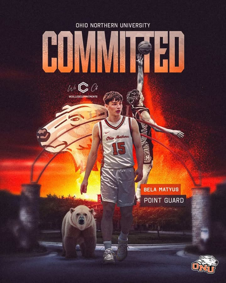 The D Zone Basketball tweet media