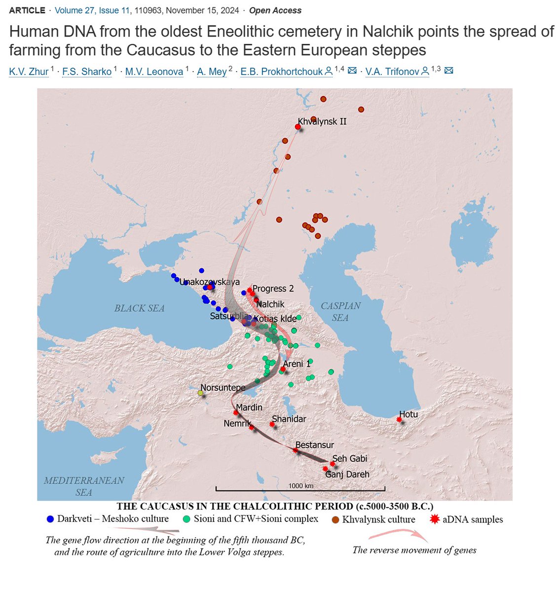 Ricardo Costa de Oliveira tweet media