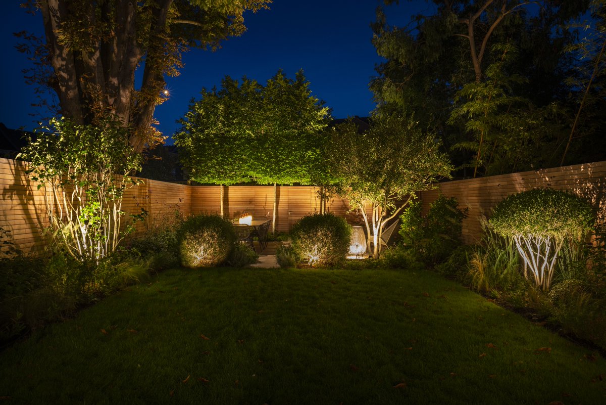 Moonlight Design tweet media