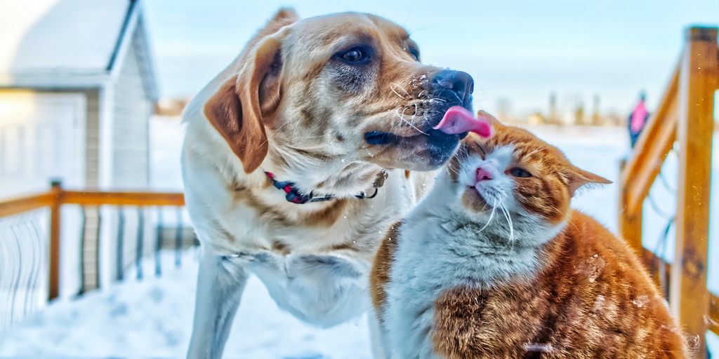 Business Coaching tweet media