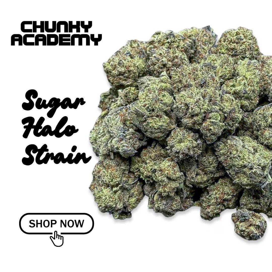 Chunky Academy tweet media