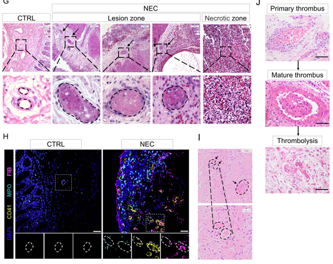 Waggoner Lab tweet media