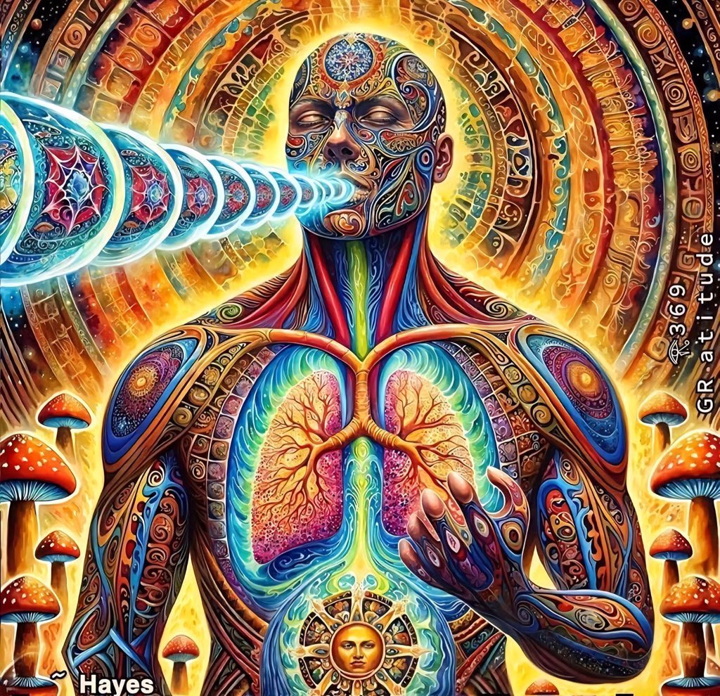 𒐪𒐪𒐪𒐪𒐪⬢4️⃣2️⃣⬢ 𒐪𒐪𒐪𒐪𒐪forty-two 𒐪𒐪𒐪𒐪𒐪 tweet media