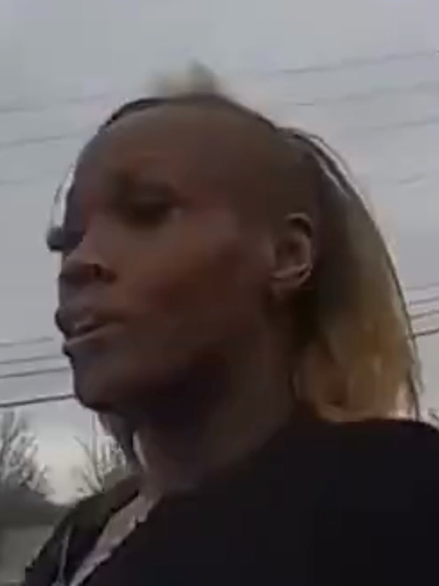 ilon masek tweet media