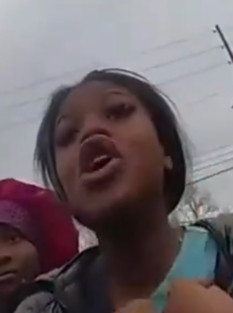 ilon masek tweet media