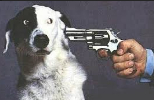 Darryl Brooks tweet media