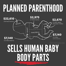 D.C.Liffe tweet media