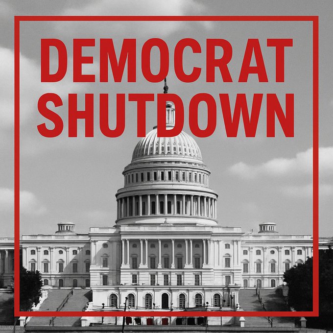 Theodore Smith tweet media